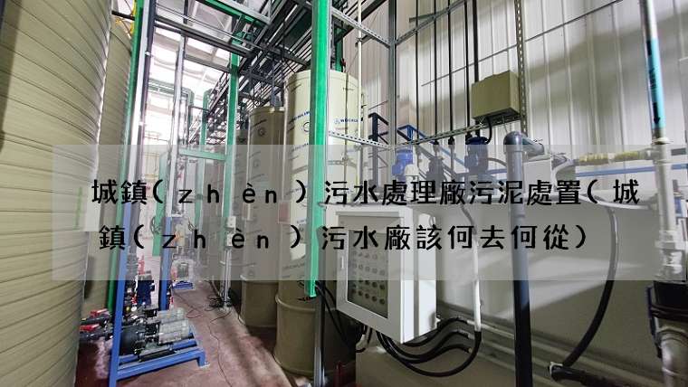城鎮(zhèn)污水處理廠污泥處置(城鎮(zhèn)污水廠該何去何從)